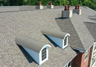 Steep Roof Shingle